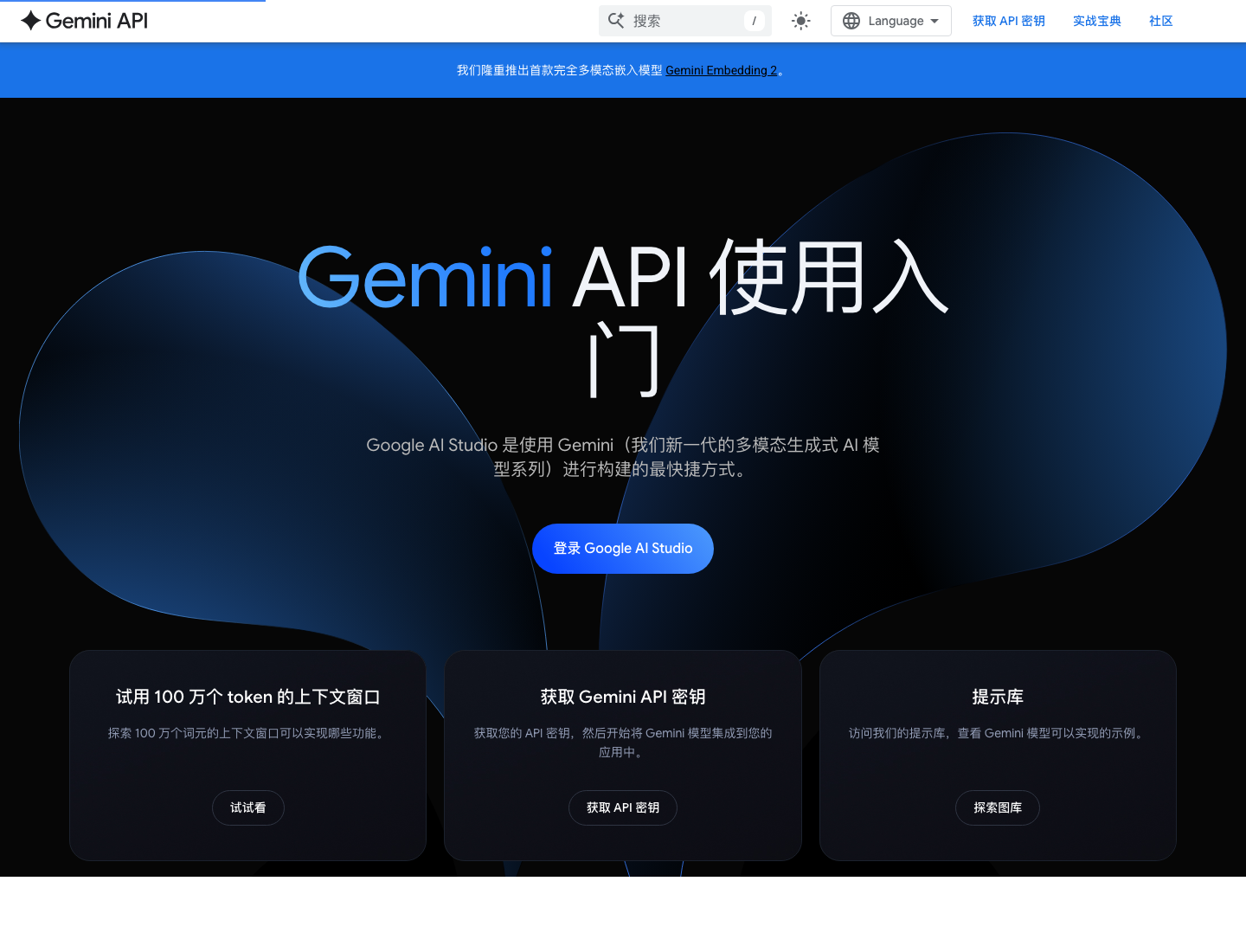 Google AI Studio 与 Gemini API 入口页面截图